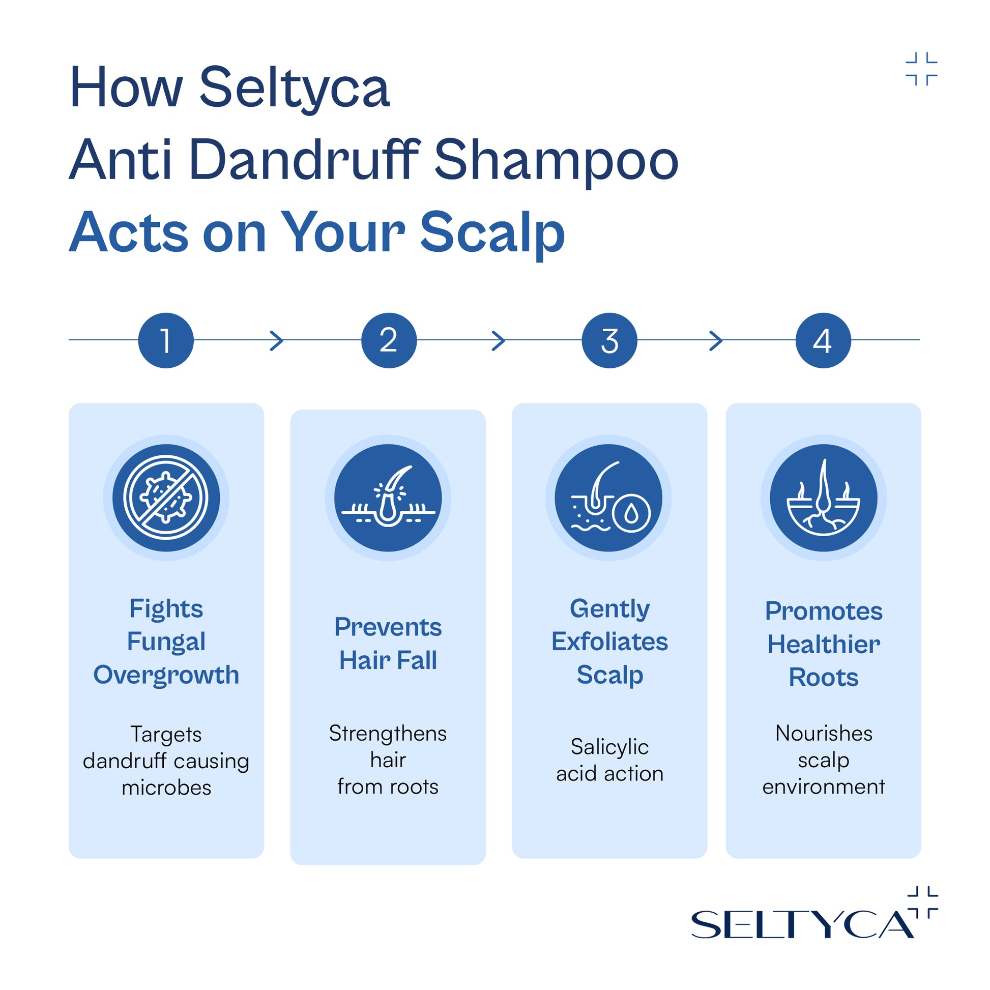 Infographic showing how Seltyca anti dandruff shampoo works on the scalp – fights fungal overgrowth, prevents hair fall, gently exfoliates scalp and promotes healthier roots.