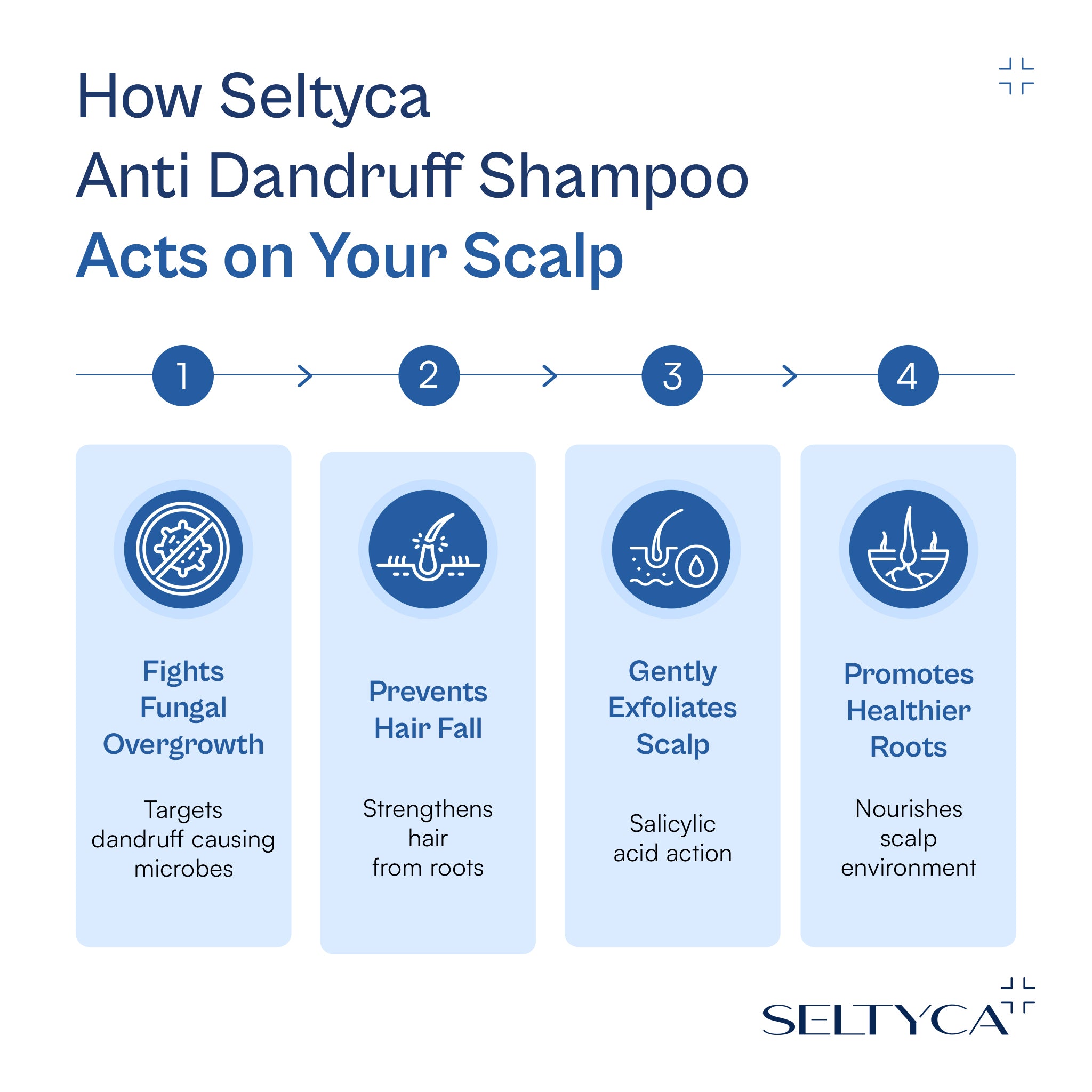 Infographic showing how Seltyca anti dandruff shampoo works on the scalp – fights fungal overgrowth, prevents hair fall, gently exfoliates scalp and promotes healthier roots.