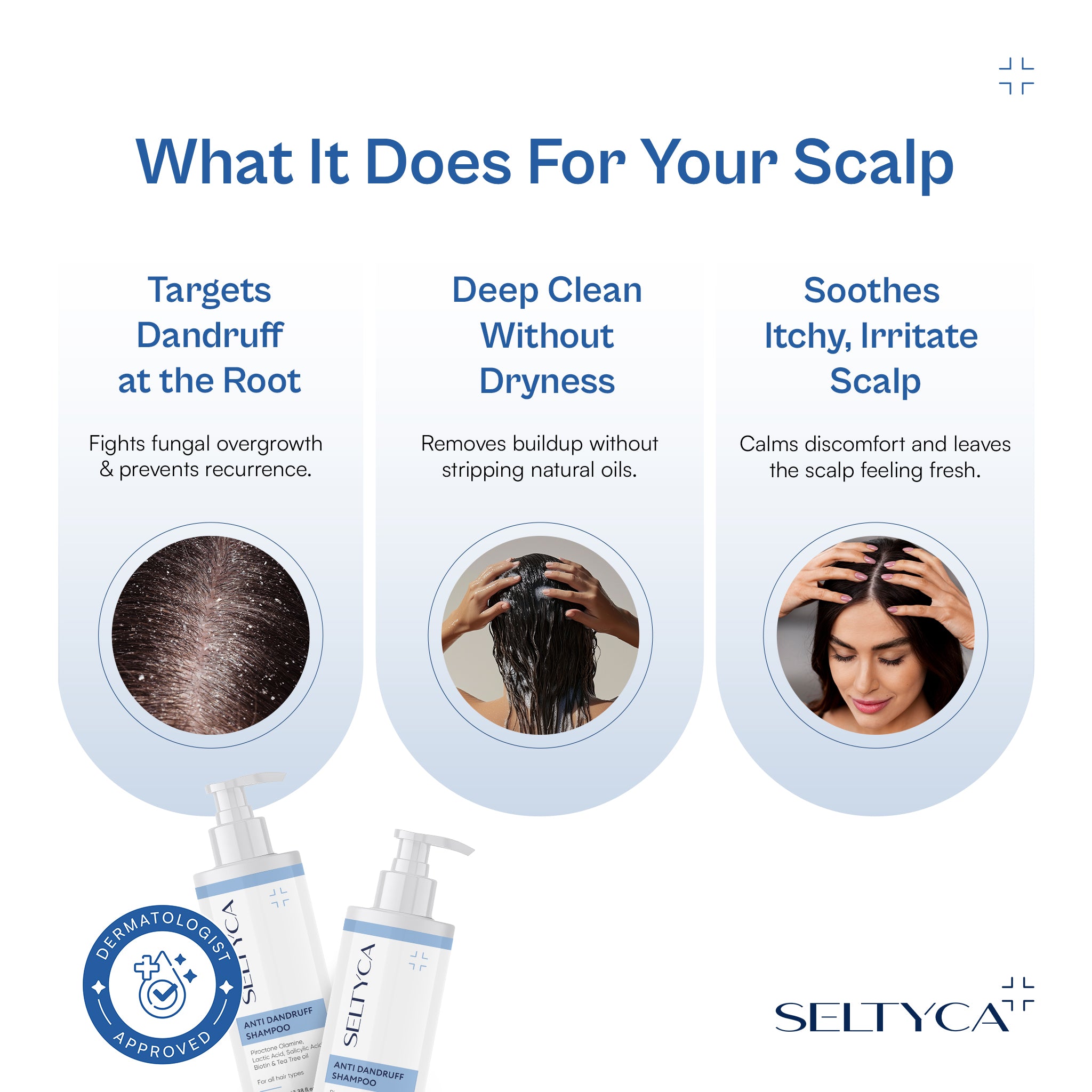 Seltyca anti dandruff shampoo benefits graphic showing how it targets dandruff at the root, deep cleans without dryness and soothes itchy, irritated scalp.