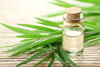 Tea Tree Oil Extract