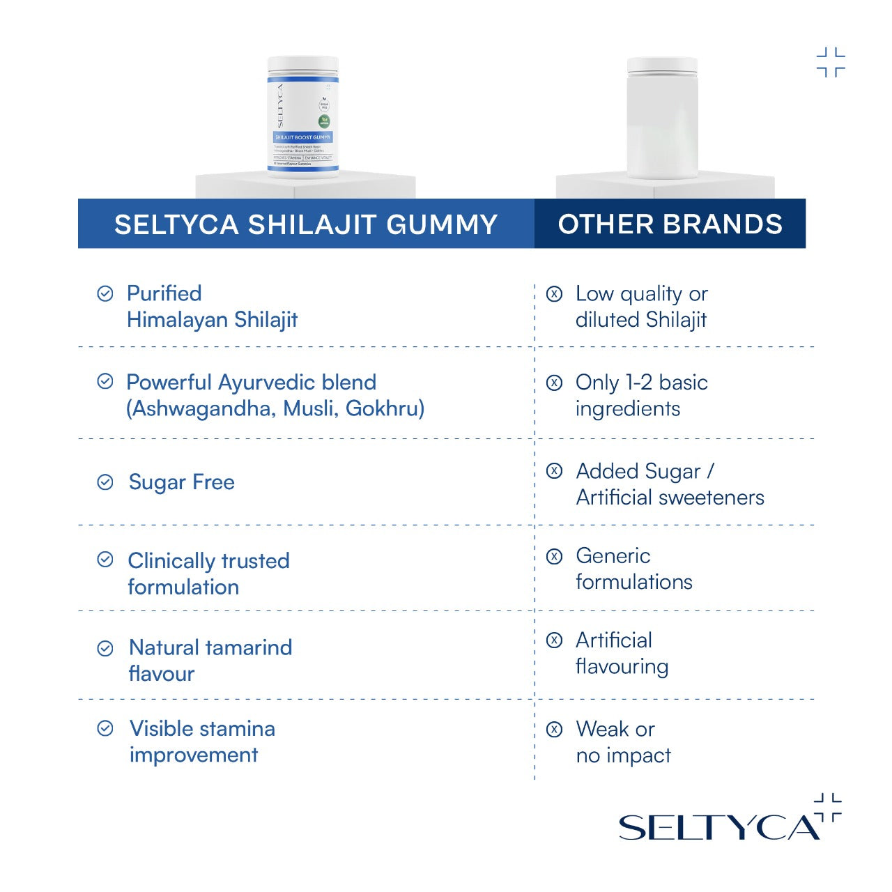 SELTYCA Shilajit Boost Gummy