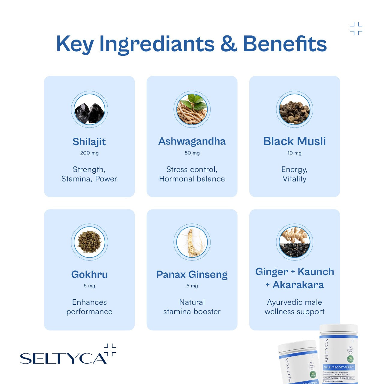 SELTYCA Shilajit Boost Gummy