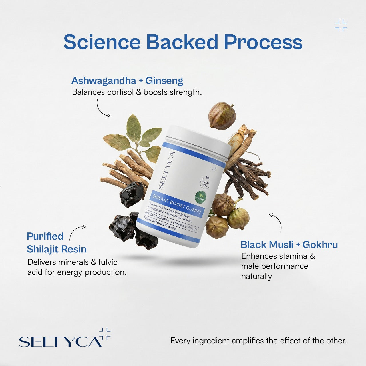 Seltyca Powermax Pack.